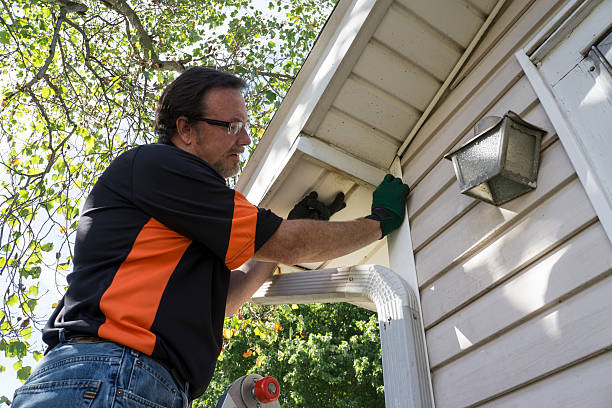 Best Stone Veneer Siding  in Eatonville, FL